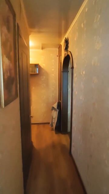 12453713  1-комнатная кв-ра Привокзальный специалист 8-962-303-69-00