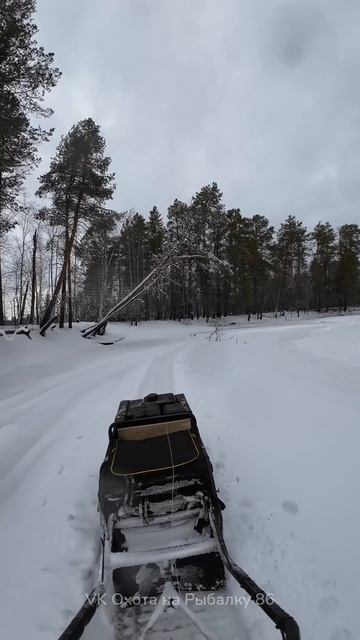 23 АПРЕЛЯ на Рыбалку