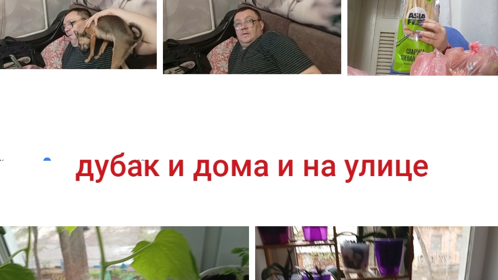 очень похолодало/ новый дом для орхидей