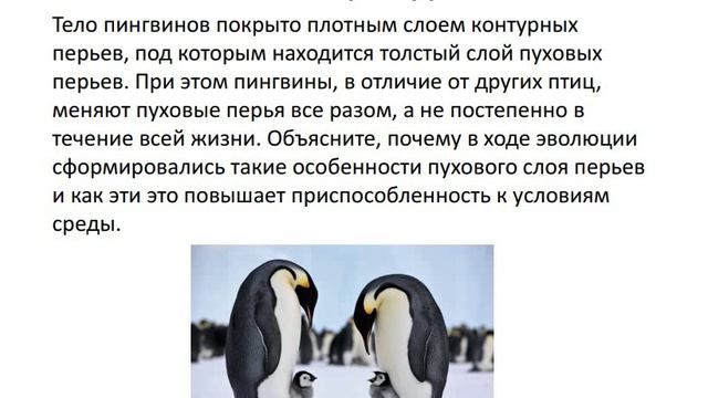 Биология. Абиотические факторы. Задания. Сербина С.Е.