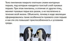 Биология. Абиотические факторы. Задания. Сербина С.Е.