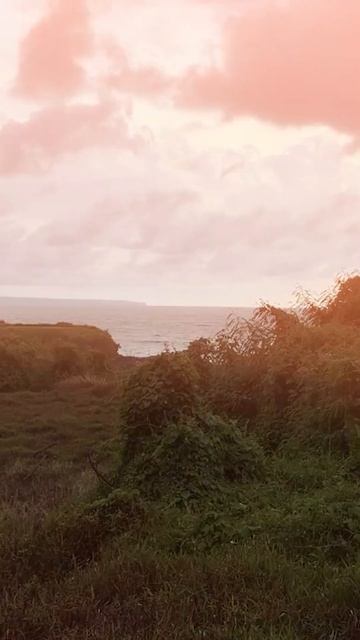 Интересные места на Балиshorts trevel trevelblogger