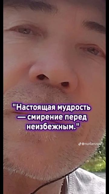 Цитаты мудрости