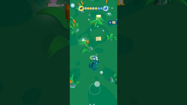 Глава четвёртая эволюция лягушки