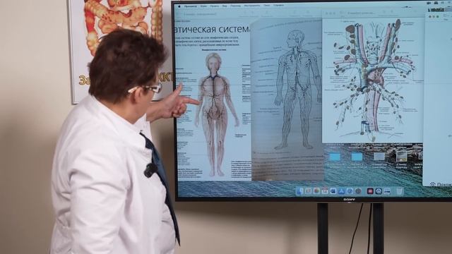 Почему вы делаете всё, а результата нет? Главный 