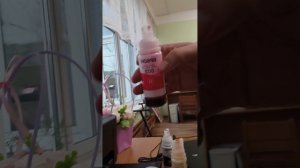 ПРИКЛЮЧЕНИЯ НА РАБОТЕ! ЗАПРАВЬТЕ МНЕ ПРИНТЕР!