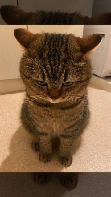 🤯 edit 😻 Sleeping city funk #shorts