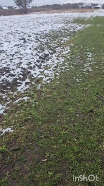 Май на пороге,хоть сани доставай