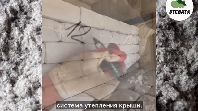 copy_3FC211C6-DD59-4394-BB5F-4D7068497188