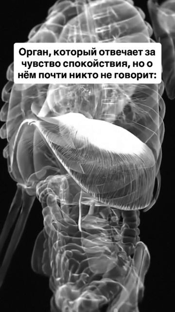 VID_20260424_153952_271.mp4