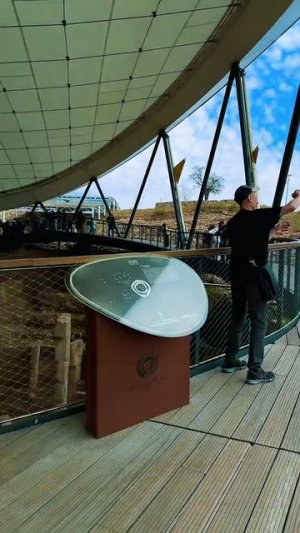 Порталы времени истории и пуп возможно телепорты Яна Титова NSM