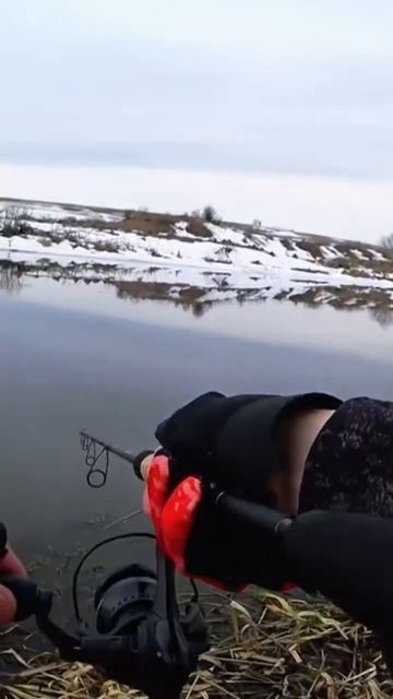 СВОЙ ВАЙБ fishing рыбалка