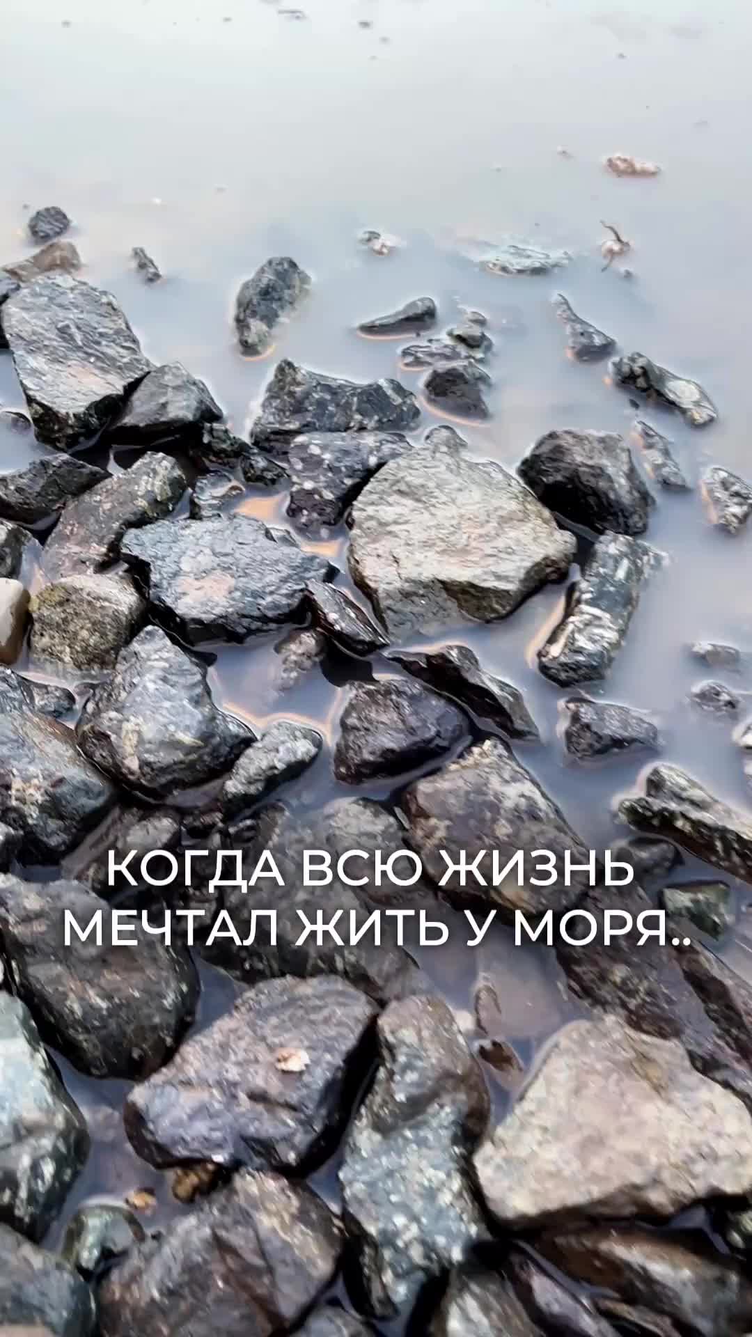 2026-04-24T19:15:54.058Z