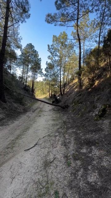 Клип @ekbmoto_live