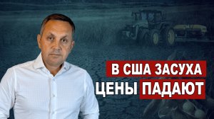 Рост цен на еду при падении сырья — это не случайность. Это закономерность || Кто увидел первым?