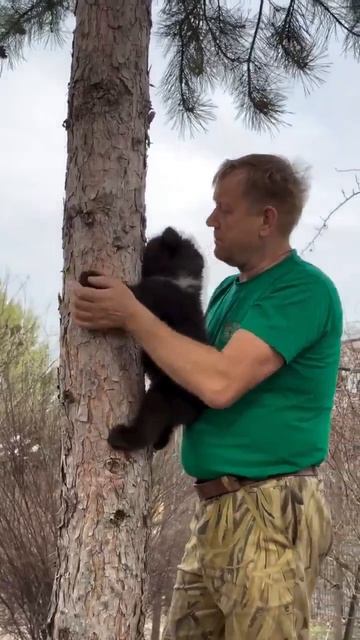 Русские и медвежонка научат вырасти медведем! 🤣❤️❤️❤️