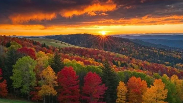 Не тревожься, не жди