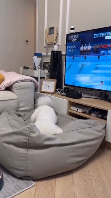 Видео от Департамент Вирусного Контента  ДВК