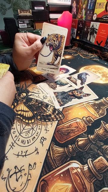 Как вас видят Силы 💪?