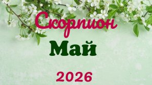 Скорпион♏ Таро- прогноз на Май🕊