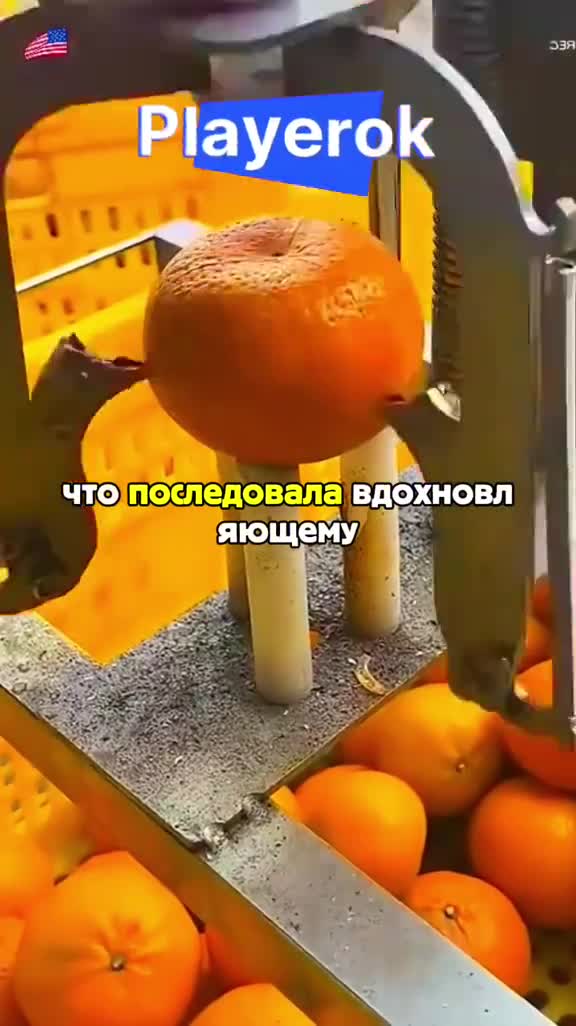 3/3 Часть || #история #реддит