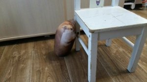 майнкрафт но........... это не майнкрафт это ряльная жизнь