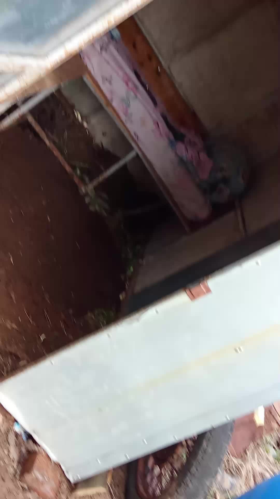 показываю что сделал за 2 часа в домике в 15 00 прода