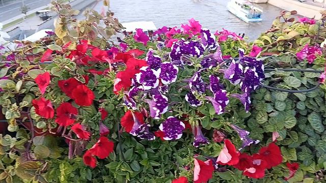 Мост, а в описании услуги от специалистов, прочтите описание, нужно обращайтесь