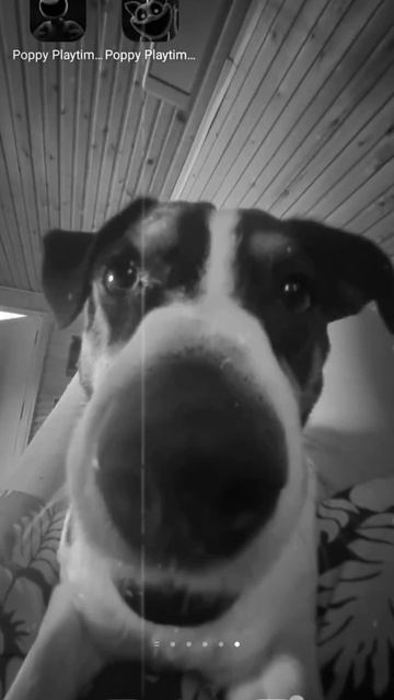 игры для телефона