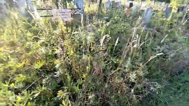 Кладбище Осиновая гора г Шуя