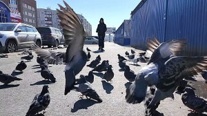 Большая область | 25.04.2026