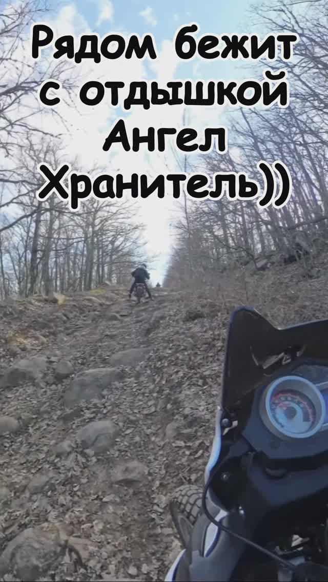 Стабилизация Insta360 X4