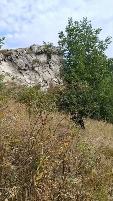 Video.Guru_20240817_180936008