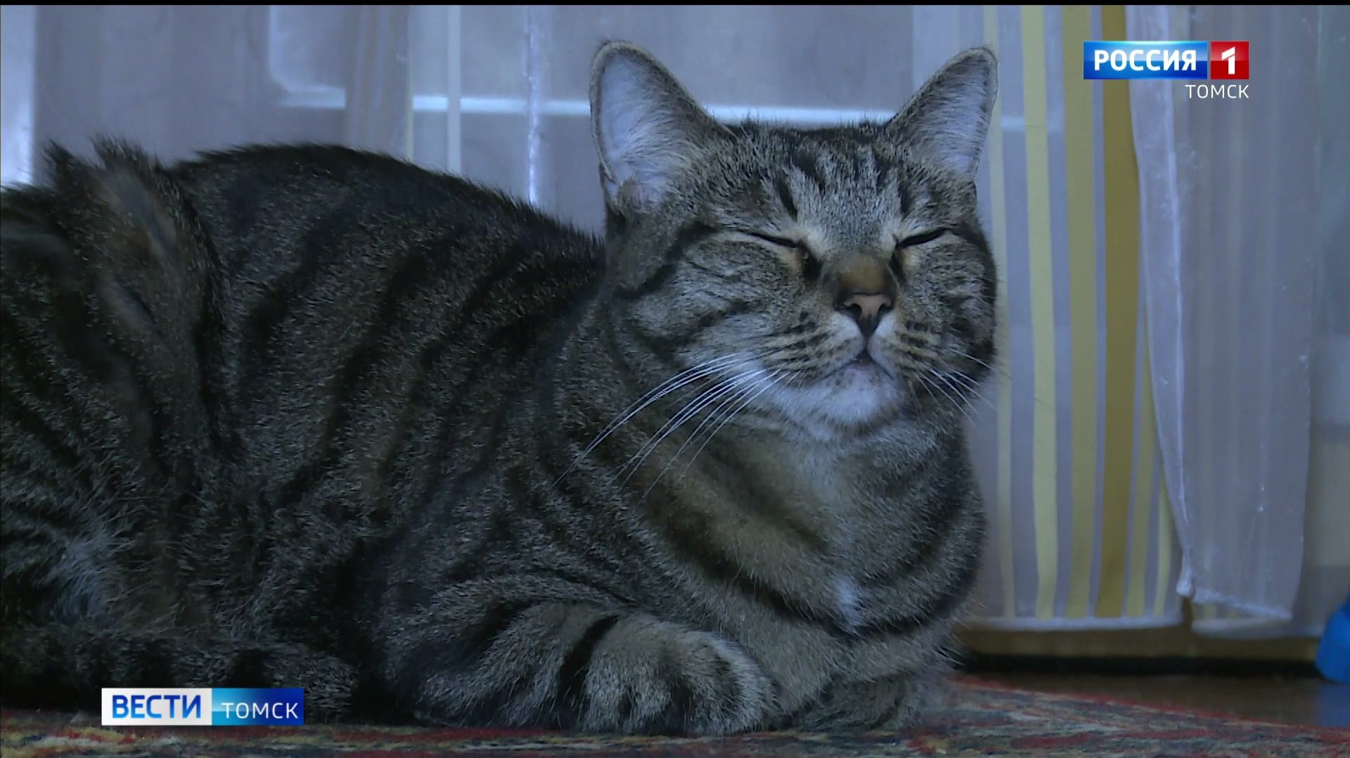 Вести-Томск, выпуск от 24.04.2026 11:30