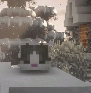 д.р. подруги.чек