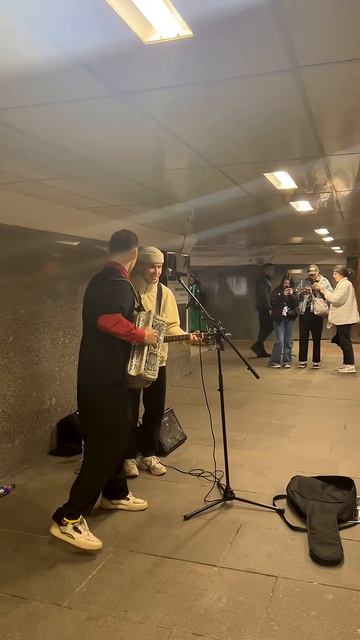 Матушка Земля на Баяне | Баянист подыграл уличному музыканту #баянистаюша