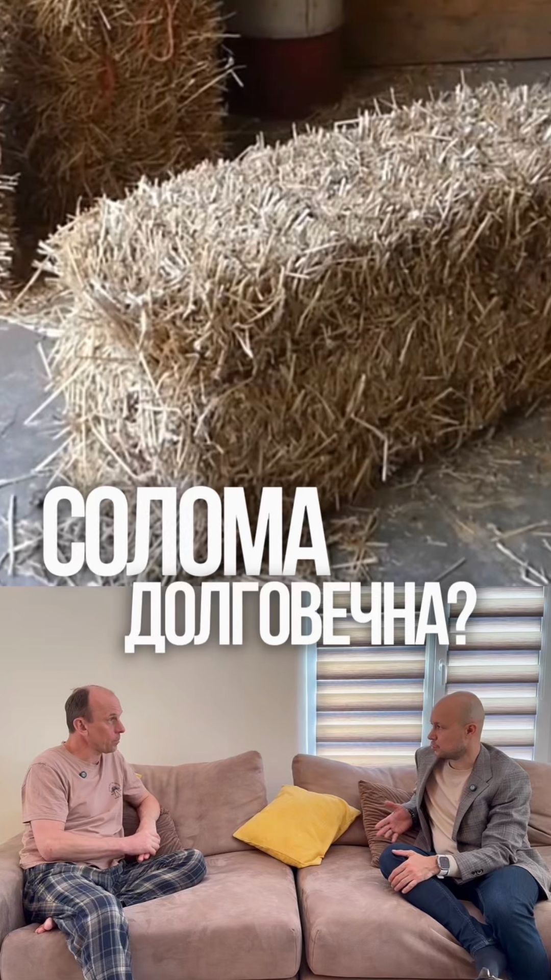 Дому из соломы в Париже больше 100 лет