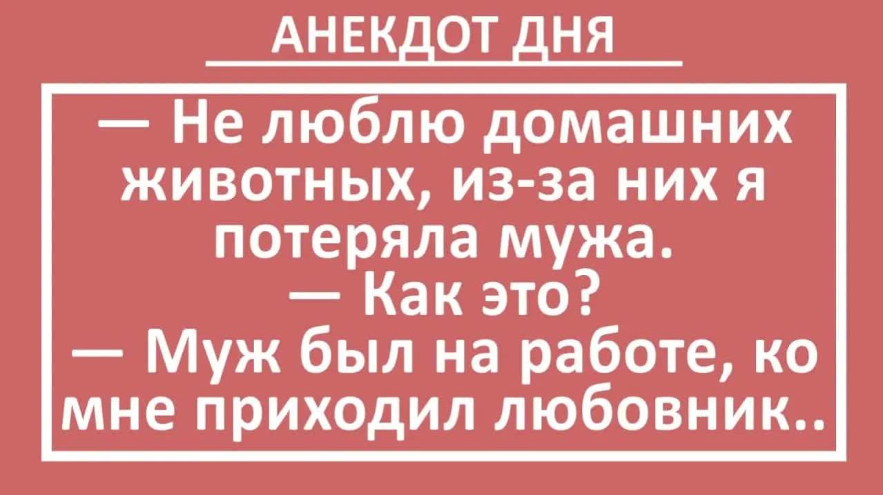 Муж был на работе, а ко мне пришел любовник... | Анекдоты смешные | Юмор