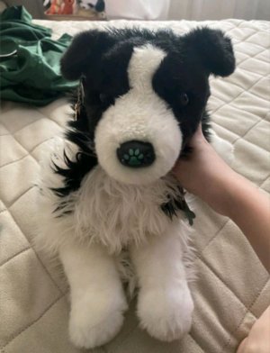 обзор на еду для Окси и Фокси ♡