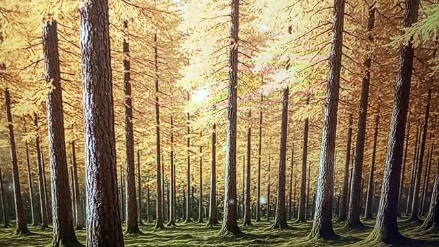 Рыма Чек - все из под палки не любя