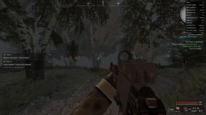 кастюм аврора Б