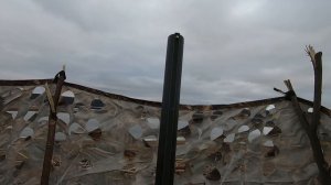 Охота на селезня, открытие 2026