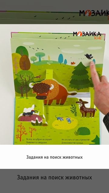 На опушке леса