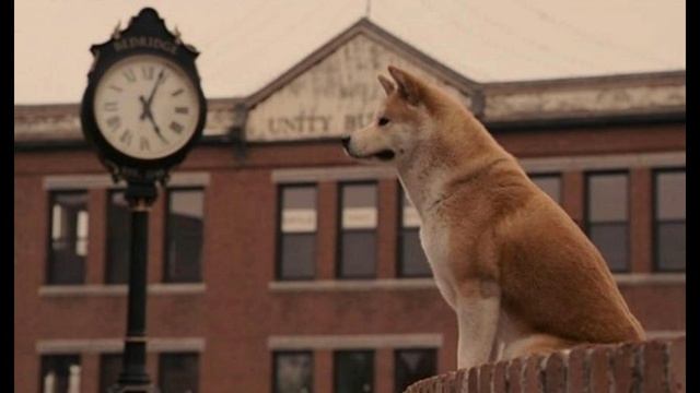 Не жди Не стой