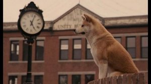 Не жди Не стой