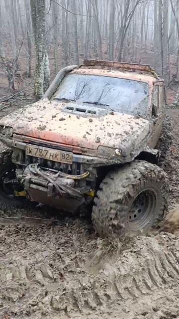 бойко нива 38.5