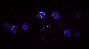 Скримеры из onaf3(жуткая версия)