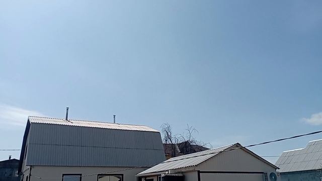 Посеяла в теплице капусту и зелень.