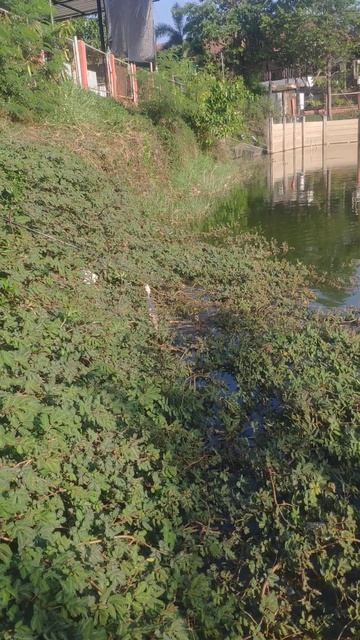 Fishing in Thailand #fishing #fishingvideo #fishinglife #thailandtravel Рыбалка