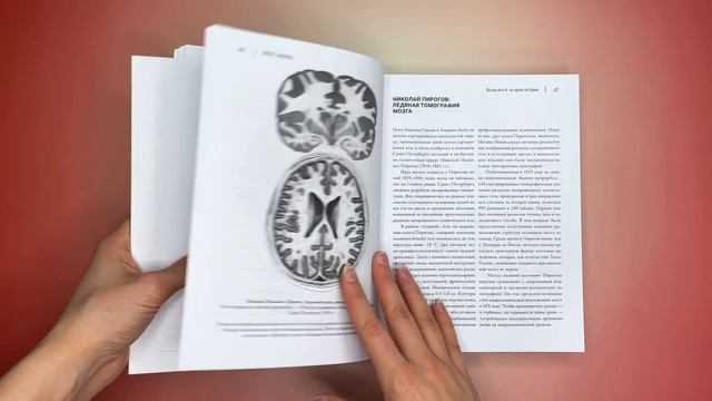 Листаем книгу «Мозг и его “Я”. Кто мы? Откуда мы? Куда мы идем?»